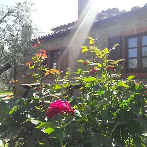 La Casina Degli Ulivi Casa di campagna